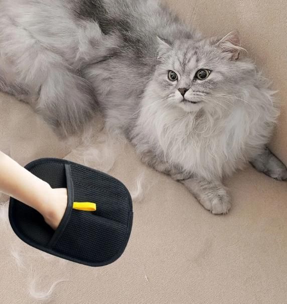 ๐
๐ฎ๐ซ๐๐๐ฌ๐ ๐๐๐ญ ๐๐ซ๐จ๐จ๐ฆ๐ข๐ง๐ ๐๐ฅ๐จ๐ฏ๐๐ฌ โ ๐๐-๐๐ก๐๐ & ๐๐๐ฌ๐ฌ๐๐ ๐
