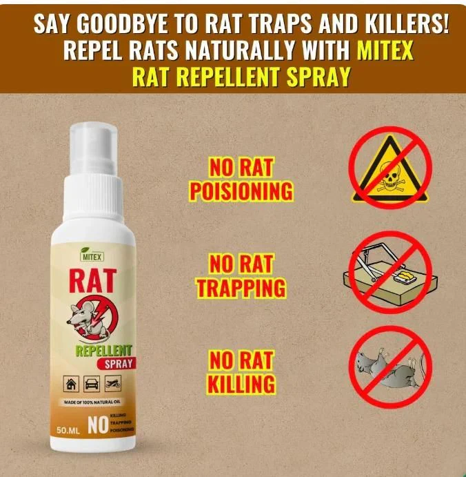 Termite Killer Spray - Effective solution for home ( Buy 1 Get 2 FREE🔥) - Image 2