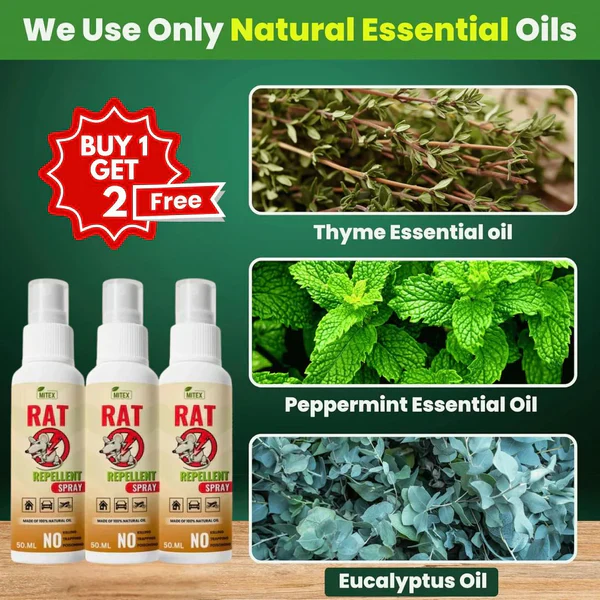 Termite Killer Spray - Effective solution for home ( Buy 1 Get 2 FREE🔥) - Image 4
