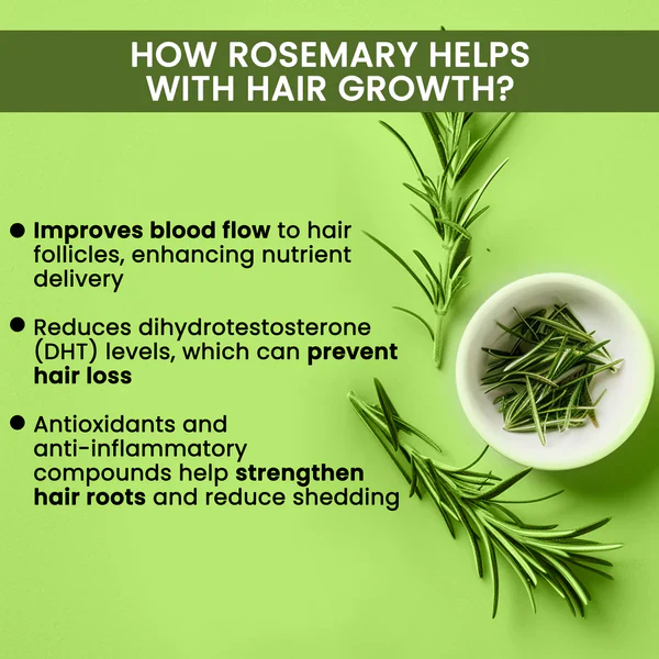 🔥BUY 1 GET 2 FREE🔥-🌿 Rosemary Water Hair Spray for Regrowth 🌿 - Image 9